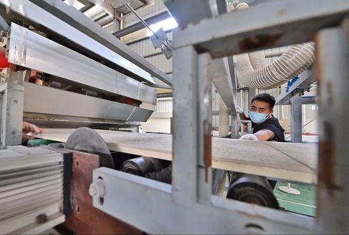 助力碳減排，我市首批8家建材企業(yè)獲評星級認證